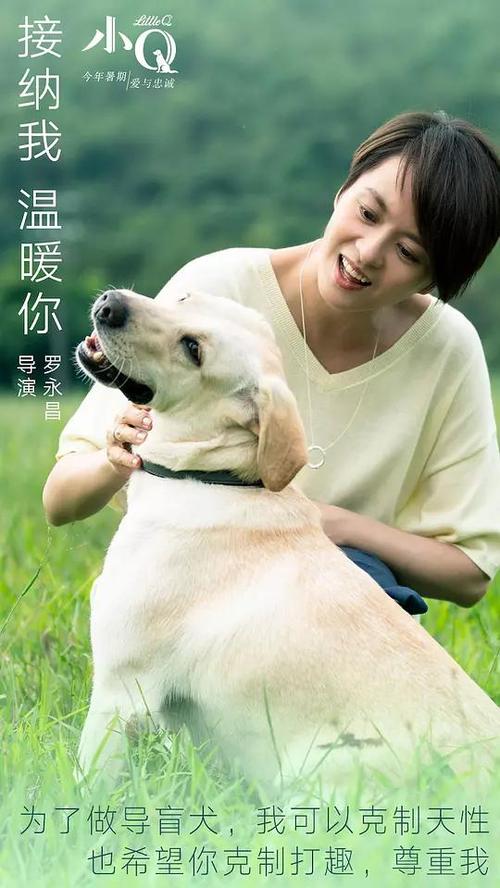 公证授权委托书多少钱